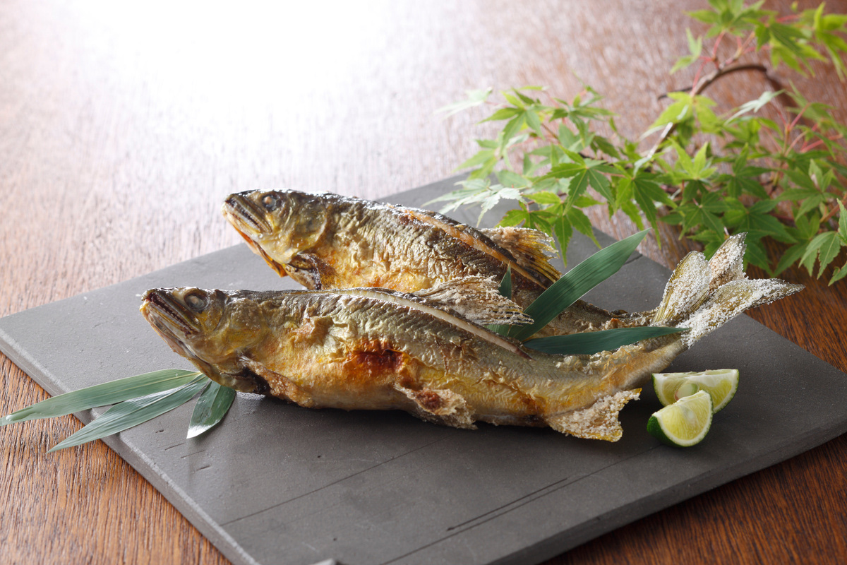 夏に旬の美味しい魚8選！栄養たっぷり&人気の魚介を食べて夏バテを予防しよう