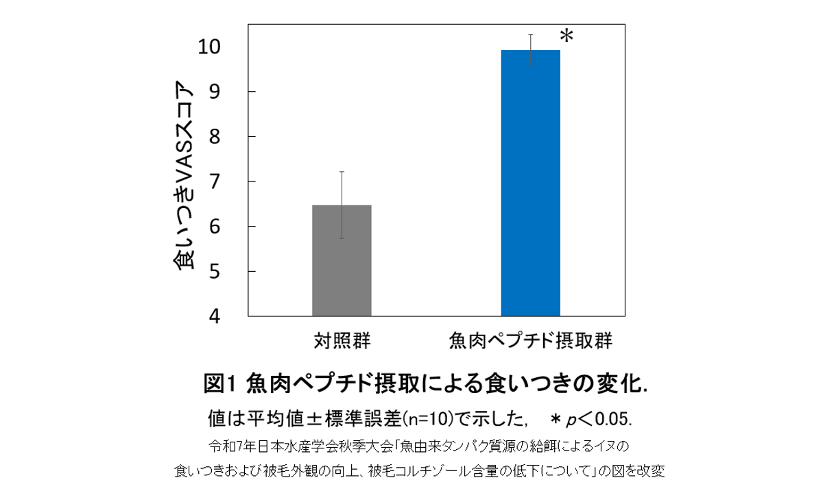 図1 魚肉ペプチド摂取による食いつきの変化