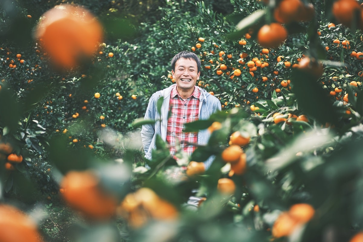 農業の価値向上をめざすべく革新を起こし続けるみかん農家