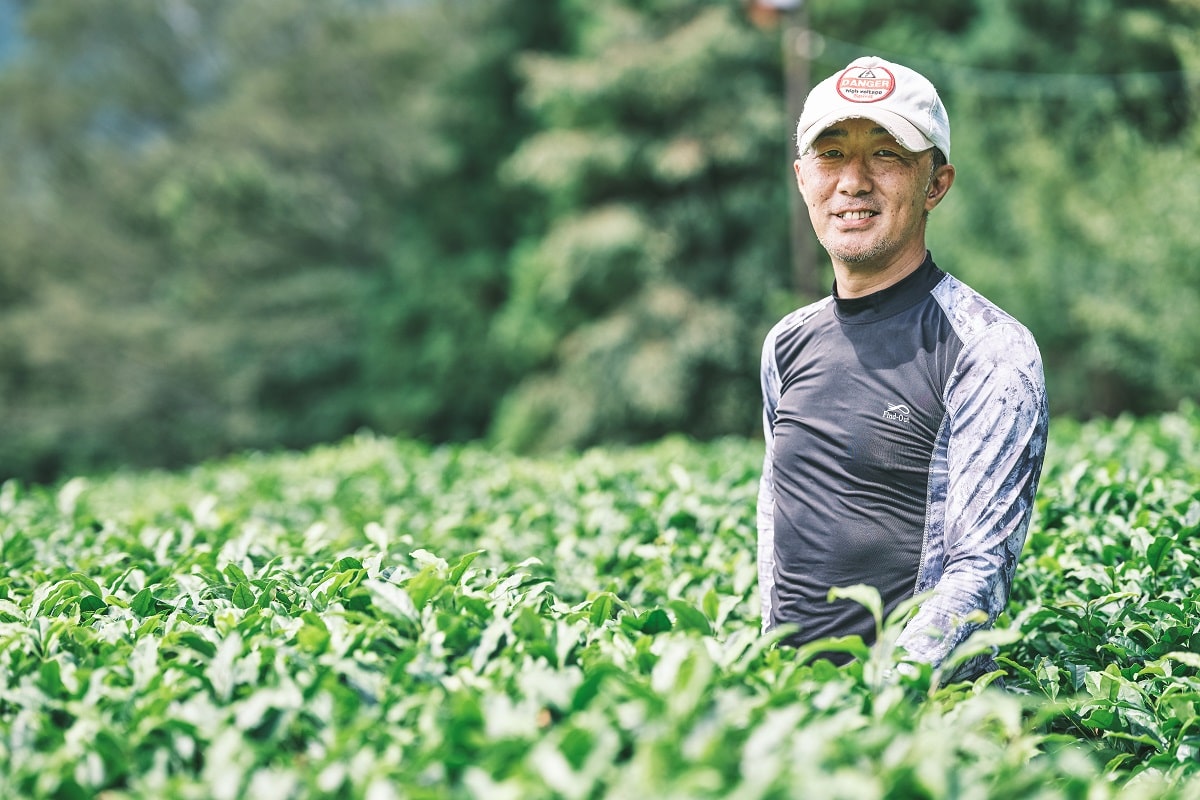 茶業界に新たな視点で光をあてる「茶師」