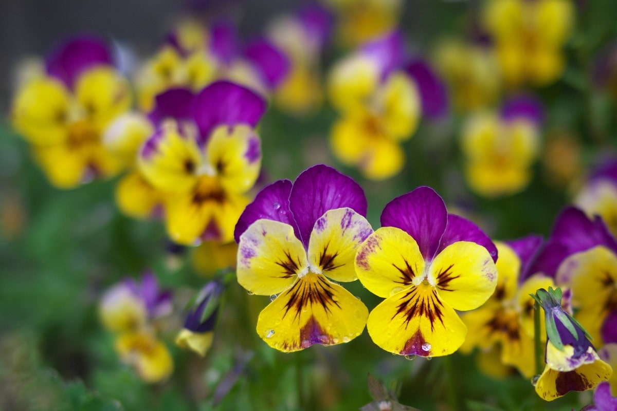 生（いき）ごみサロン講座