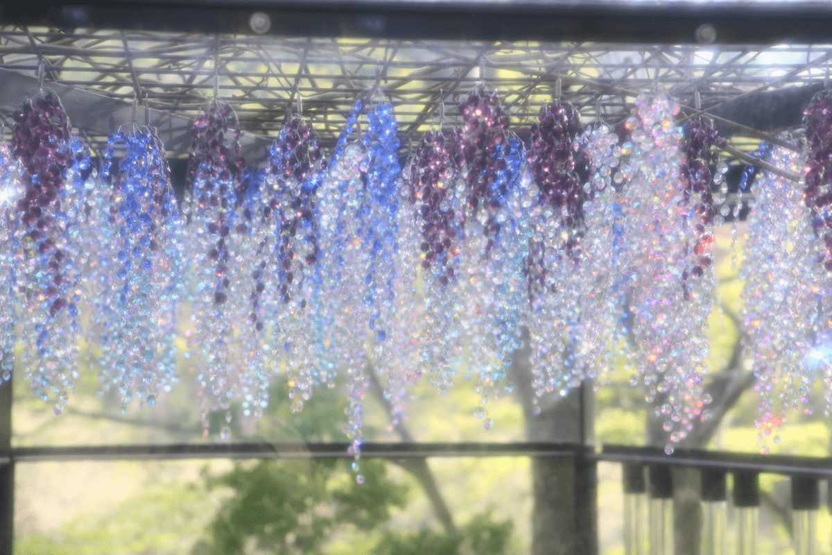 クリスタル・ガラスの藤の花