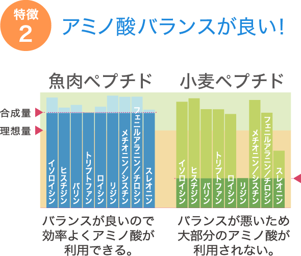 魚肉タンパクはアミノ酸バランスが良い！